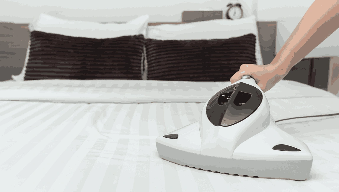 Professional Mattress Cleaning Huntingdale